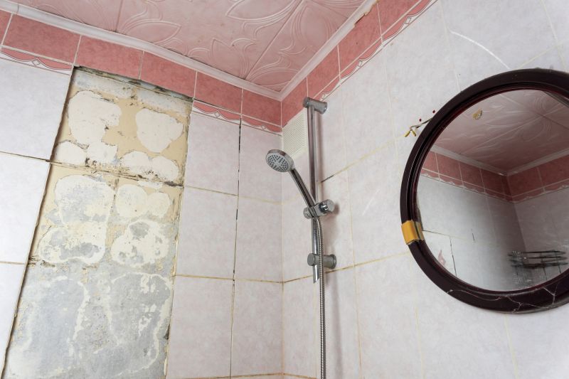 Top Shower Remodeling Companies in Monroe, MI