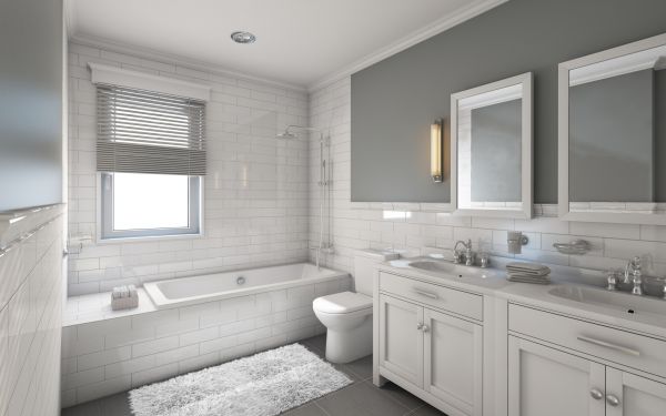 Restroom Remodeling in Belleville