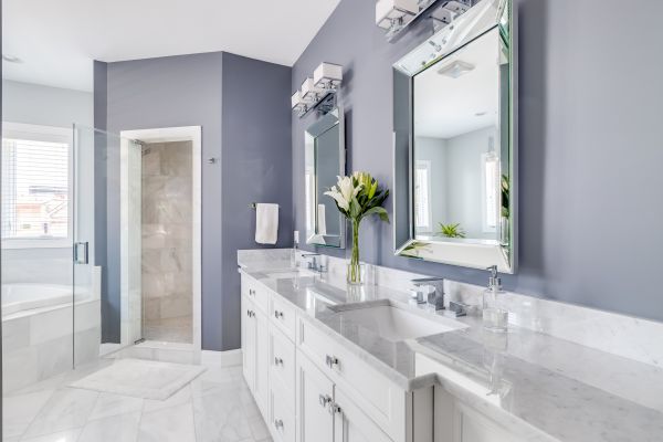 Restroom Renovation in Belleville